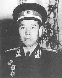 上将王震